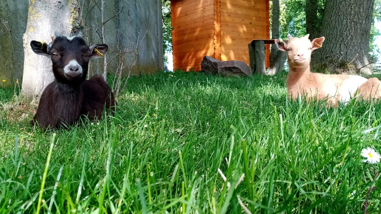 Karla und Lotte Karla und Lotte